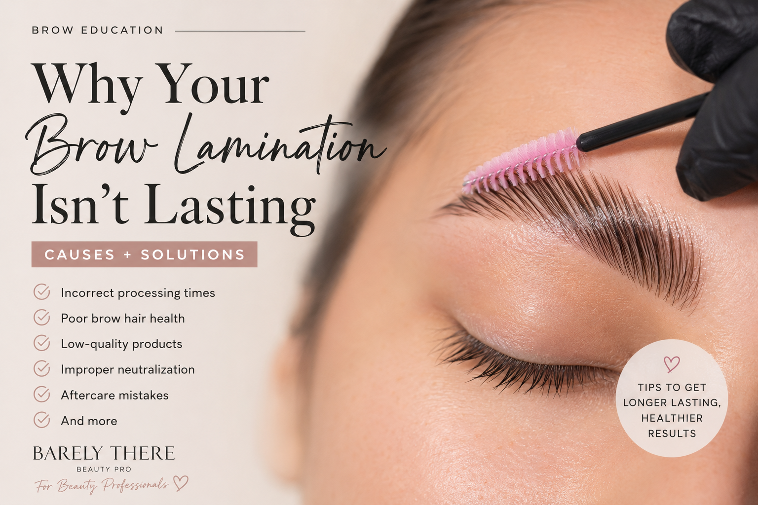 Professional brow lamination educational guide explaining why brow laminations may not last and how to improve retention using healthy brow lamination techniques and professional products.