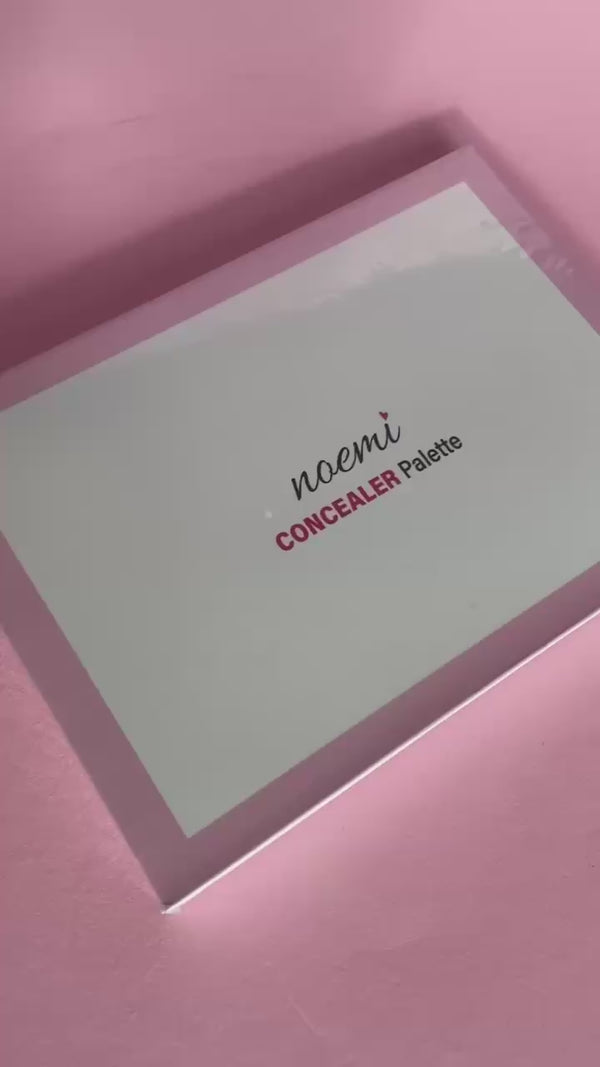 Noemi Concealer Palette Video